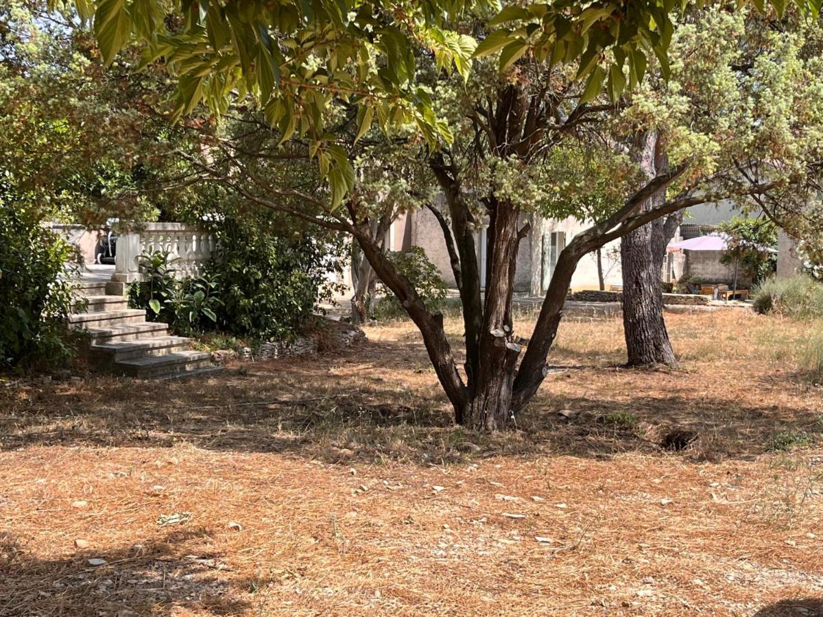Maisonnette Independante Avec Jardin/Patio Нім Екстер'єр фото